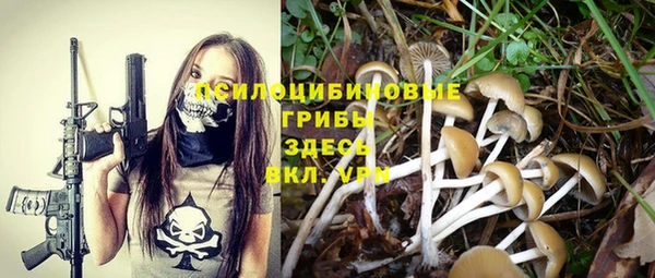герыч Горнозаводск