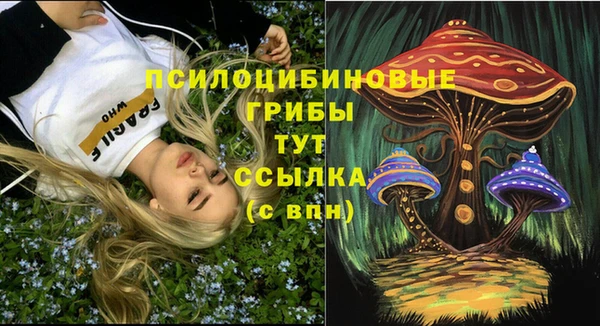 apvp Сясьстрой
