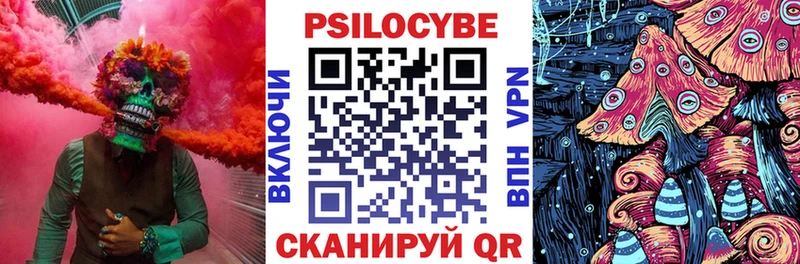 купить закладку  Гдов  hydra зеркало  Галлюциногенные грибы GOLDEN TEACHER 